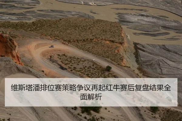 维斯塔潘排位赛策略争议再起红牛赛后复盘结果全面解析